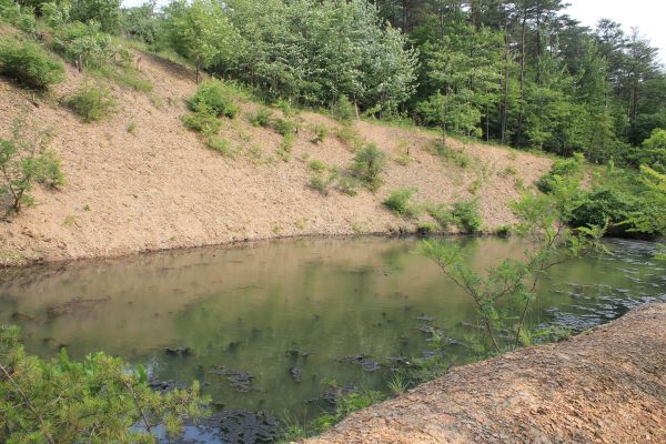 Cost of Pond Erosion Repair in Blairsville